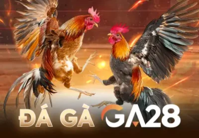 DA88 Đá Gà Ga28