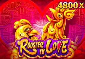 DA88 Rooster In Love